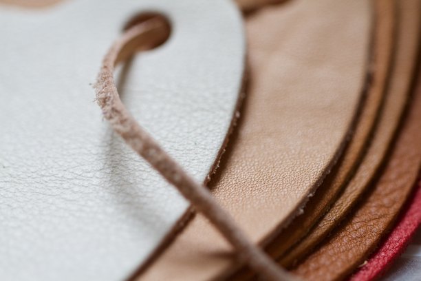 皮革样品图片下载