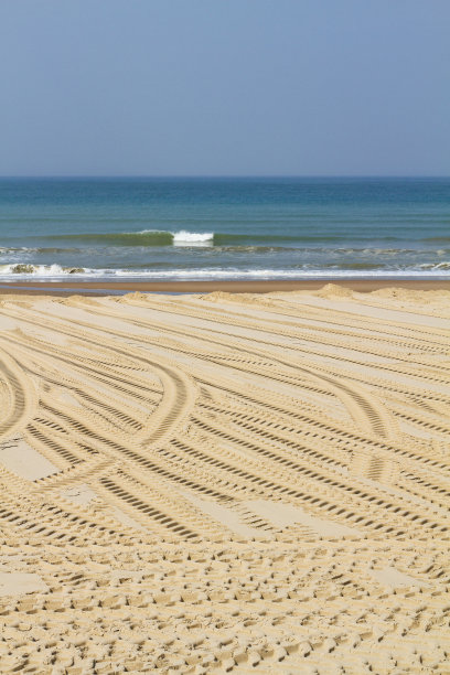 沙滩上的轮胎印图片下载