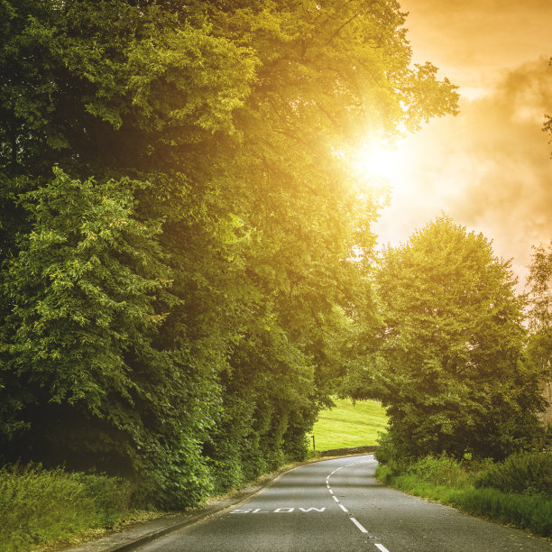 自然之路图片下载