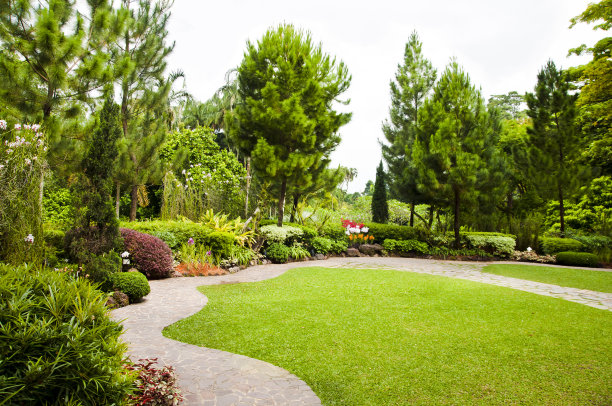 夏天的花园图片下载