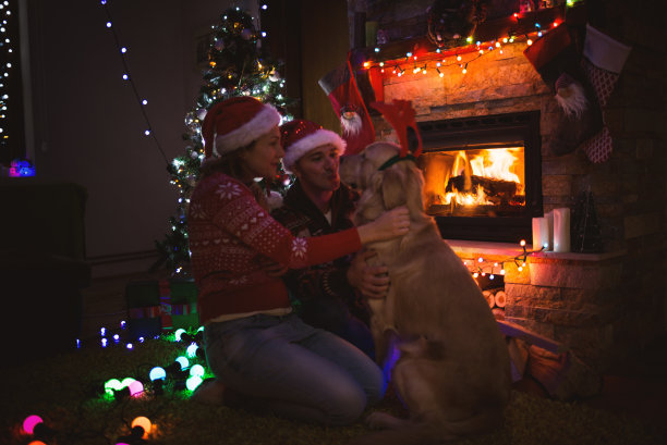 狗狗圣诞快乐图片下载