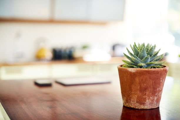 厨房摄影图片素材ID：143216788