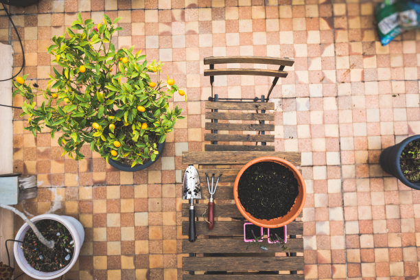 城市园艺图片下载