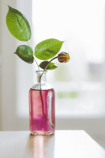 玫瑰盛开在一个装满覆盆子茶的瓶子里图片下载