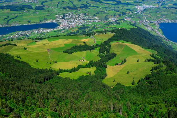 俯瞰苜蓿01图片下载