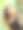 一个年轻女子在树林里自拍图片下载