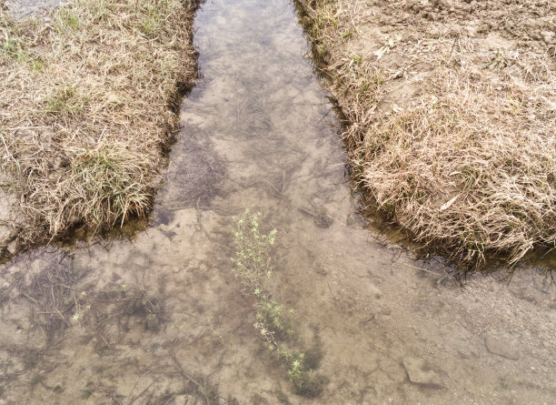 干草，灌渠，一些水图片下载