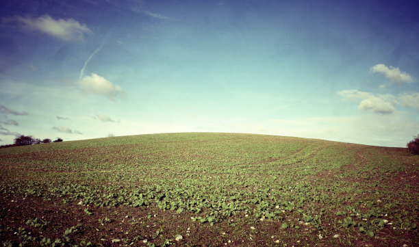 古董秋天领域图片下载