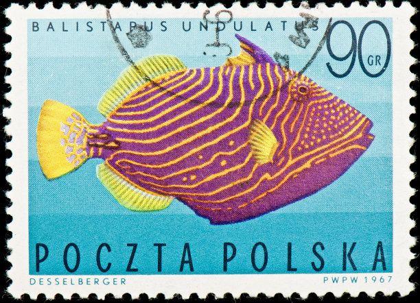 波兰的邮票图片下载