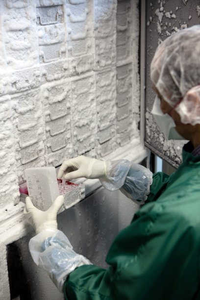 Thermo Scientific冰箱的研究人员图片下载