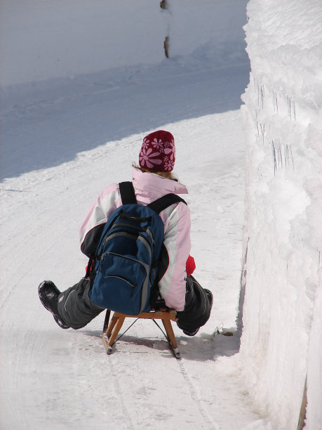 雪的乐趣图片下载
