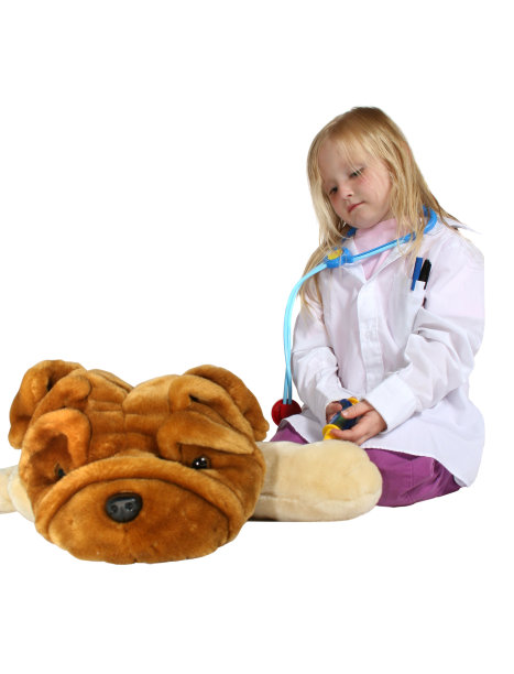 年轻的兽医图片下载