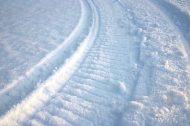 雪地跟踪图片下载