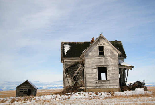 需要一个雷诺图片下载