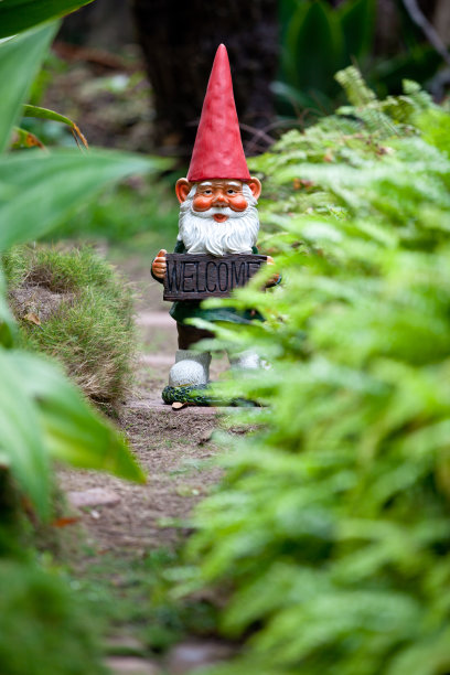 花园Gnome图片下载