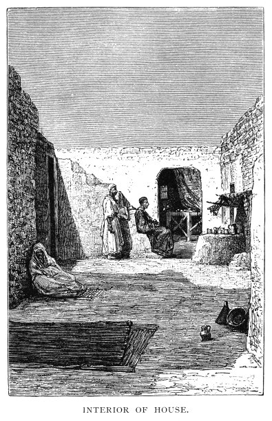 传统的突尼斯老房子(维多利亚插图)图片下载