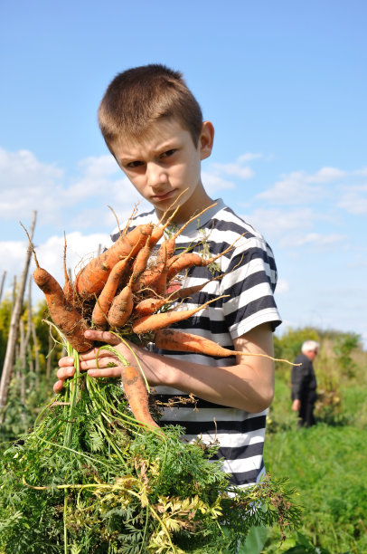 男孩,胡萝卜图片下载