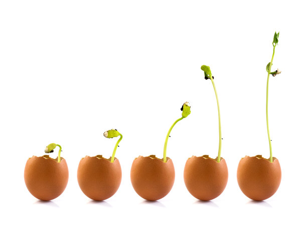 日益增长的图片下载