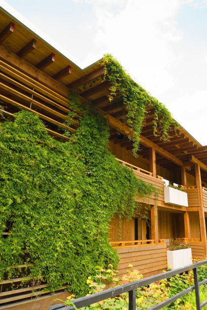 设计师的公寓图片下载