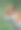 利福克斯特写镜头图片下载