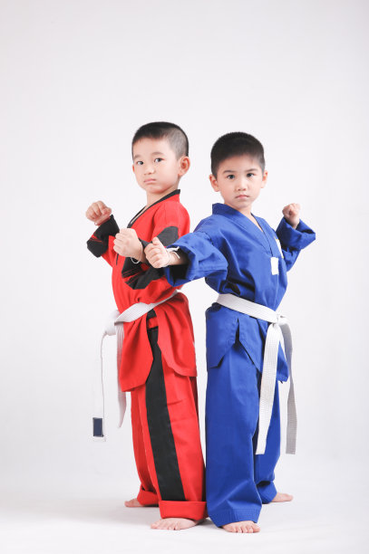 小男孩做空手道动作的肖像图片下载