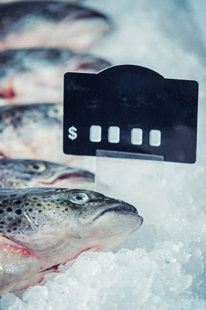 市场新鲜鲑鱼图片下载