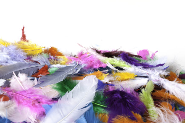 堆羽毛图片下载