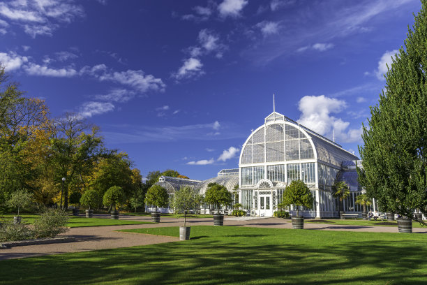 秋天的哥德堡棕榈屋图片下载