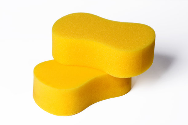 黄色的海绵图片下载