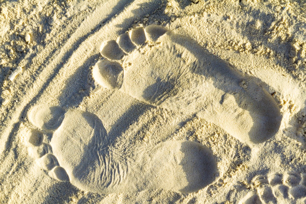 沙滩上有脚印图片下载