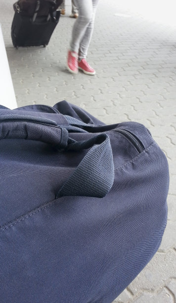 旅行袋和旅客图片下载