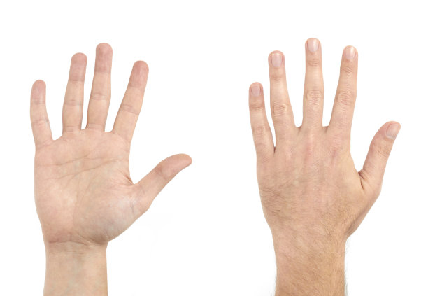 5号手指图片下载