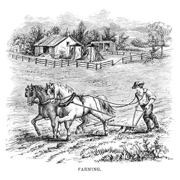 农业雕刻图片下载