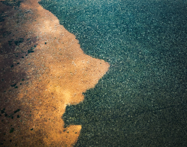 吃了森林图片下载