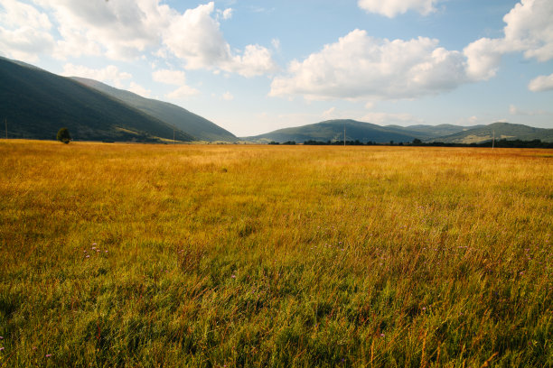 秋天的草原图片下载