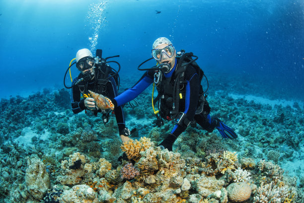 水肺潜水图片下载