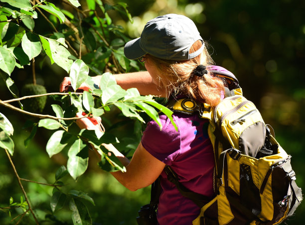 生物学家在现场图片下载