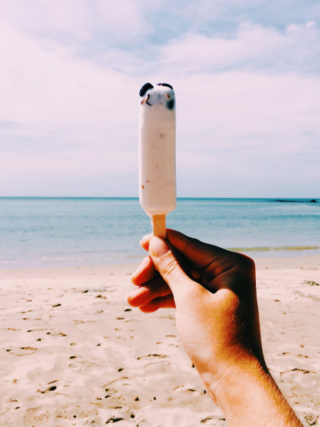 黑豆冰淇淋图片下载