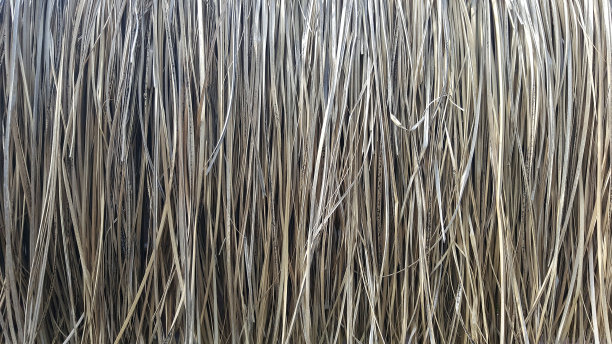 茅草屋顶背景，干草或干草背景。图片下载