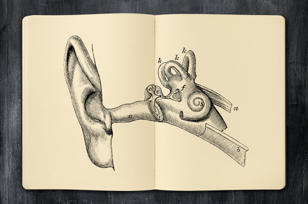 古董耳朵插图在打开的笔记本图片下载