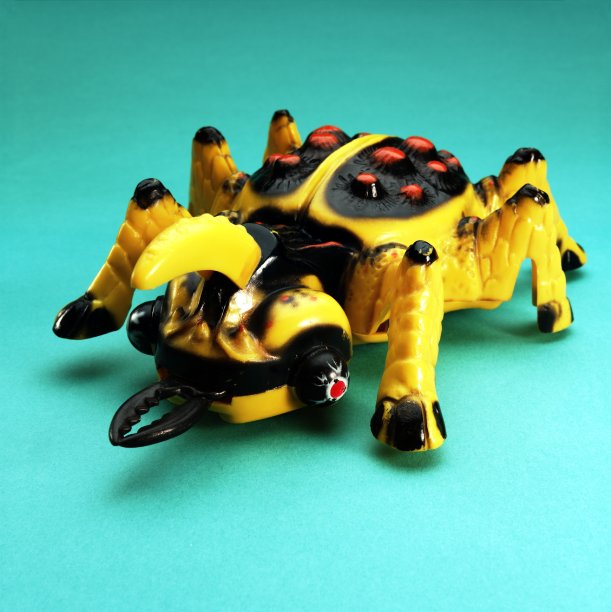 黄黑蜘蛛图片下载