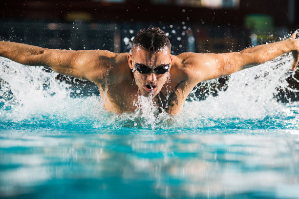 蝴蝶游泳。图片下载