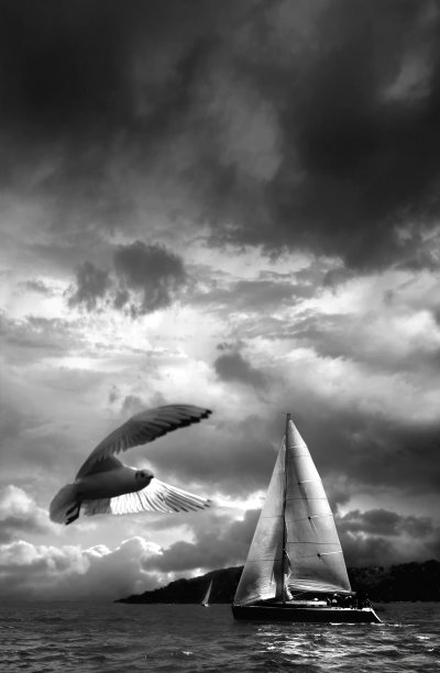 帆船和海鸥图片下载