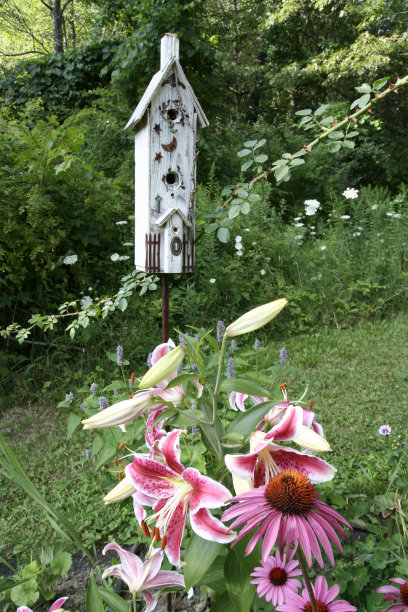 碧桂园图片下载