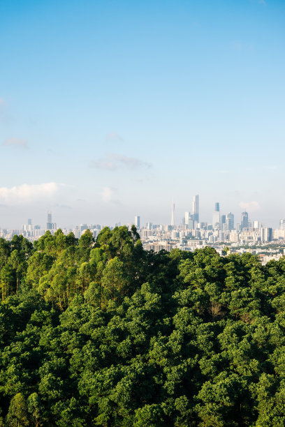 远处的城市天际线图片下载