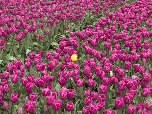 与他人不同图片下载