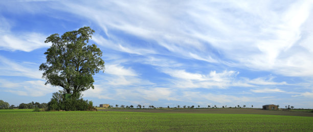 田野上的卷云图片下载