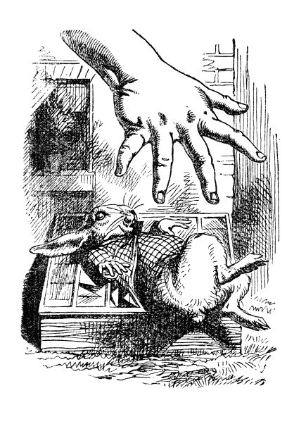 爱丽丝伸手去抓白兔图片下载