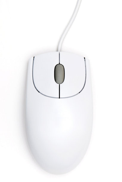 白老鼠图片下载