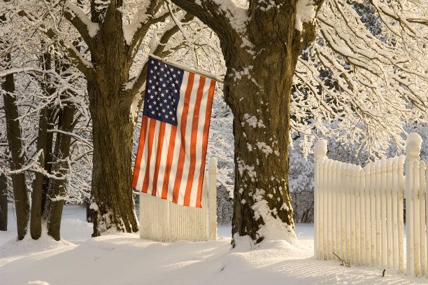 雪中的美国国旗图片下载